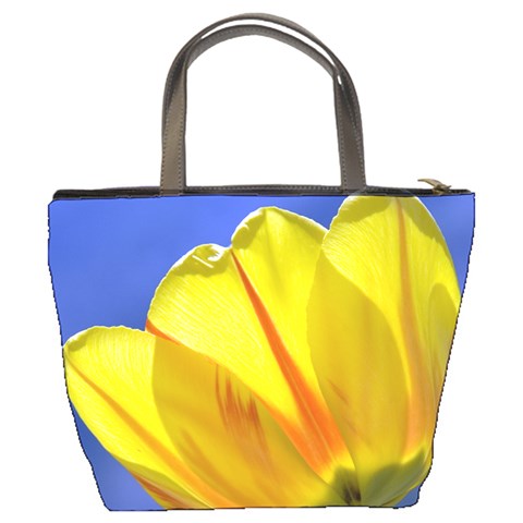 Tulip On Blue By Alana Back