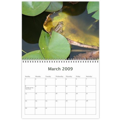 2009 Nature Calendar By Michele Sanders Mar 2009