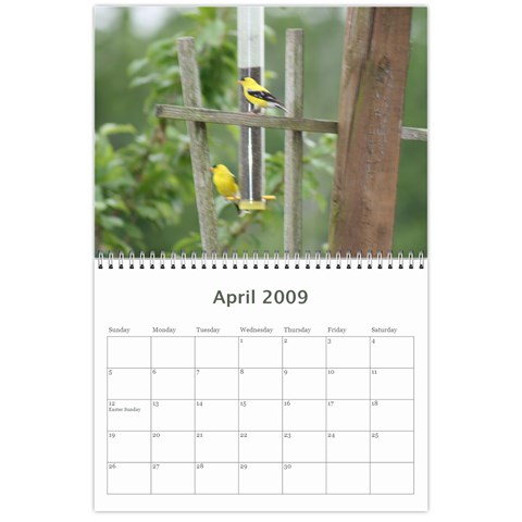 2009 Nature Calendar By Michele Sanders Apr 2009