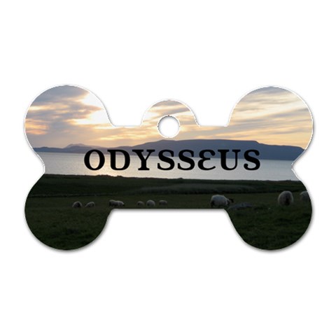 Odysseus Tag By Sunny Front