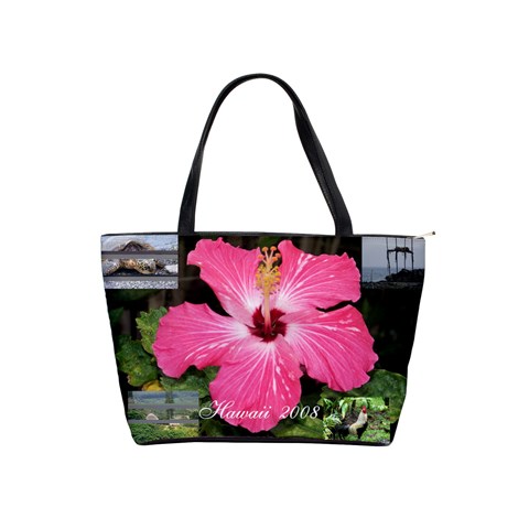 Hawaii Pocketbook By Terri Front