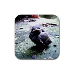 little birdie - Rubber Coaster (Square)