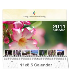 Personal Calendar - Wall Calendar 11  x 8.5  (18 Months)