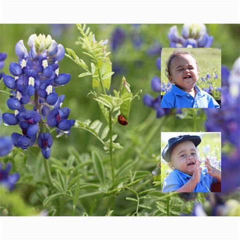 Ethan In Blue Bonnetts By Carolyne 10 x8  Print - 1