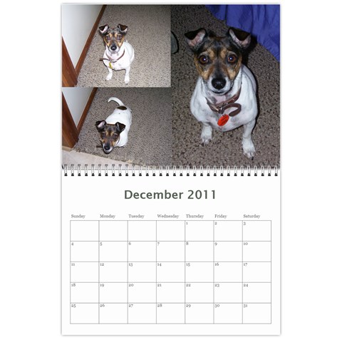 Kim Calendar By Kimberly Phelan Dec 2011