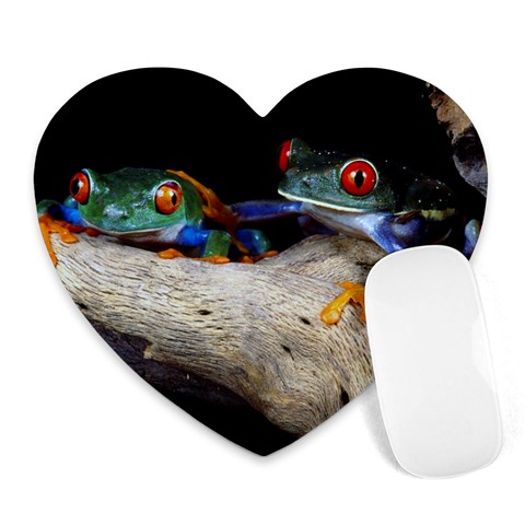 I Love Frogs By Barbara Hafendorfer Front