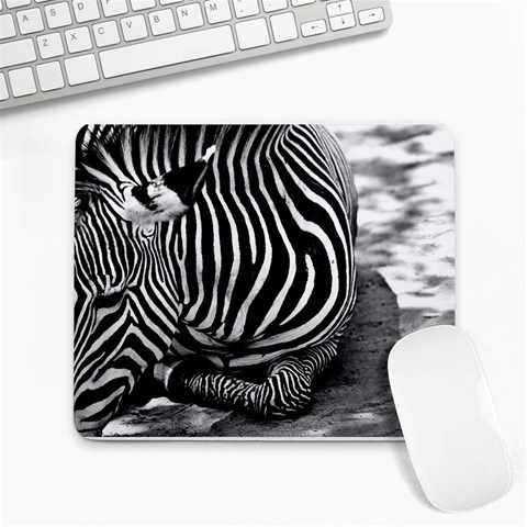 Zebra Mousepad By Julie Talbot Front