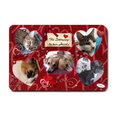 Pet Doormat By Jenny Super 24 x16  Door Mat