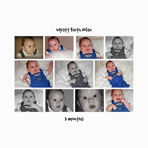 Collages Of Wyatt At 3 Months By Mindy Nolan 10 x8  Print - 2