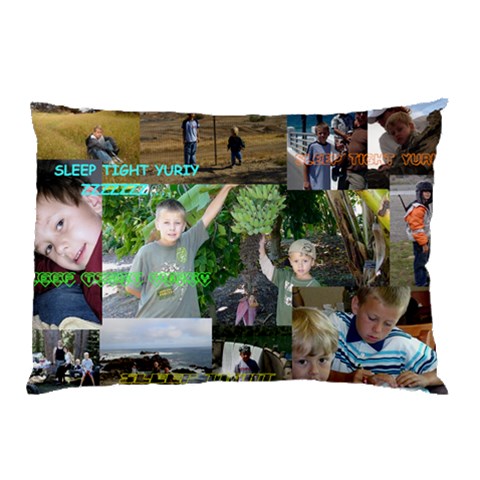 Pillow Case For Yuriy By Lana 26.62 x18.9  Pillow Case