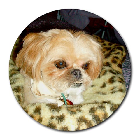 Buster Mousepad By Rhonda Bourland Front