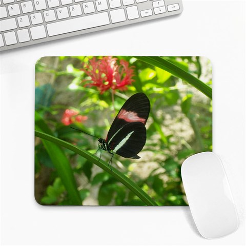 Butterfly Mousepad By Maria Smith Front