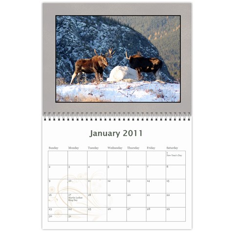 Moose Calendar By Gnose Jan 2011