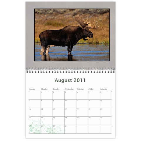 Moose Calendar By Gnose Aug 2011