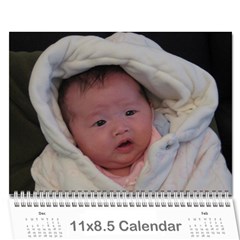 2011 calendar - draft 2 - Wall Calendar 11  x 8.5  (12-Months)