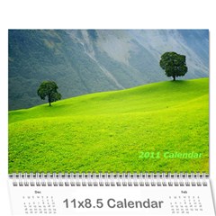 2011 calendar - Wall Calendar 11  x 8.5  (12-Months)