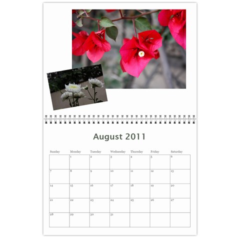 Calendar 2011 By Veena Aug 2011