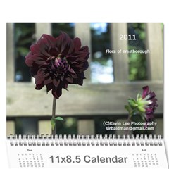 2011 Flora of Westboro - Wall Calendar 11  x 8.5  (12-Months)