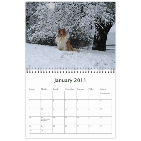 2011 Calendar By Dschroeder Arvig Net Jan 2011