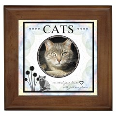 Cats Can Steal Your Heart Framed Tile