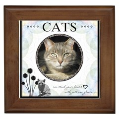 Cats Can Steal Your Heart Framed Tile