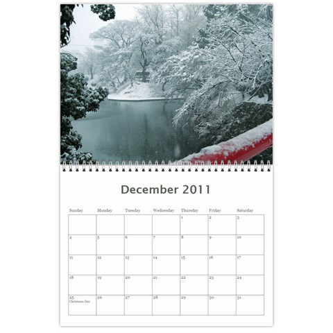 Calender By Shannel Dec 2011