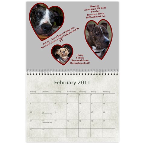 Rescue Calander By Tracy Caccavella Feb 2011