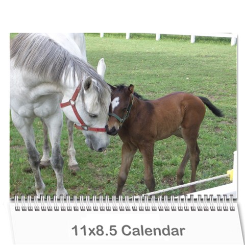 Bob s Calendar 2011 By Iain And Elaine Hunter Cover