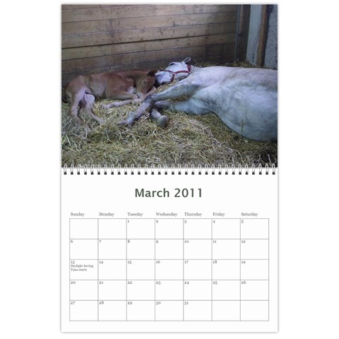 Bob s Calendar 2011 By Iain And Elaine Hunter Mar 2011