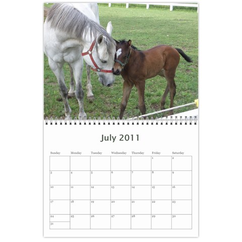 Bob s Calendar 2011 By Iain And Elaine Hunter Jul 2011