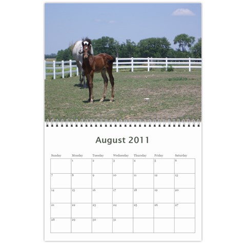 Bob s Calendar 2011 By Iain And Elaine Hunter Aug 2011