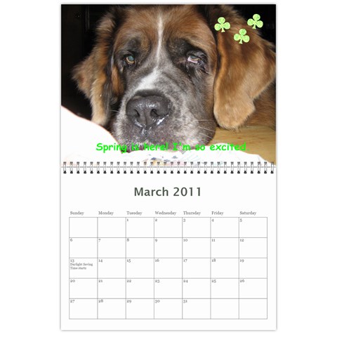 Daisy Calendar By Dianna Cook Mar 2011