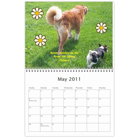 Daisy Calendar By Dianna Cook May 2011