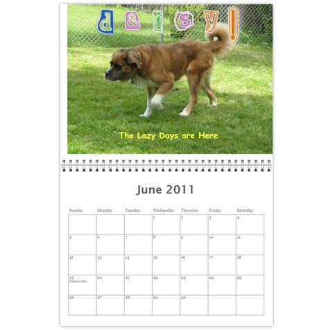 Daisy Calendar By Dianna Cook Jun 2011