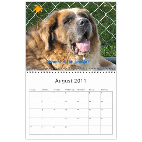 Daisy Calendar By Dianna Cook Aug 2011