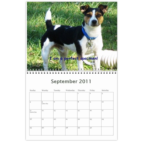 Daisy Calendar By Dianna Cook Sep 2011