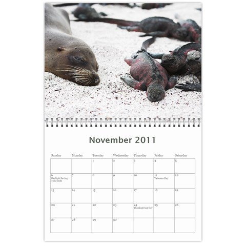 Galapagos 2011 Calendar By Matt Haber Nov 2011