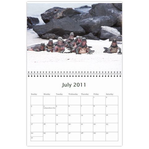 Galapagos 2011 Calendar By Matt Haber Jul 2011