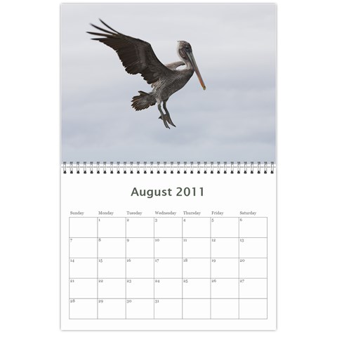 Galapagos 2011 Calendar By Matt Haber Aug 2011