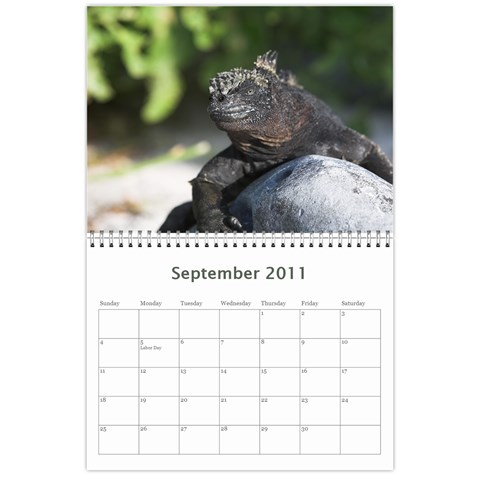 Galapagos 2011 Calendar By Matt Haber Sep 2011