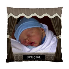 Special & Wonderful 2 Sided Cushion Case - Standard Cushion Case (Two Sides)