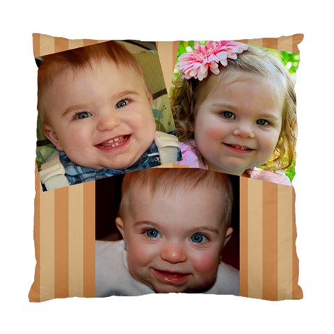 Throw Pillow By Amber Front