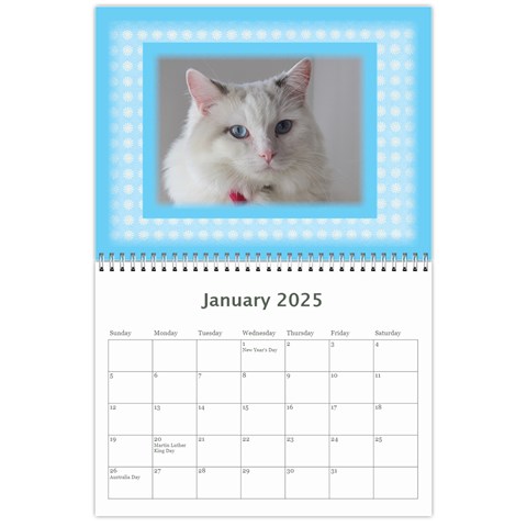 My Little Prince 2025 (any Year) Calendar By Deborah Jan 2025