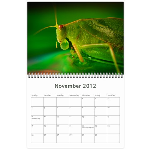 2012/13 Calendar By Tim Nichols Nov 2012