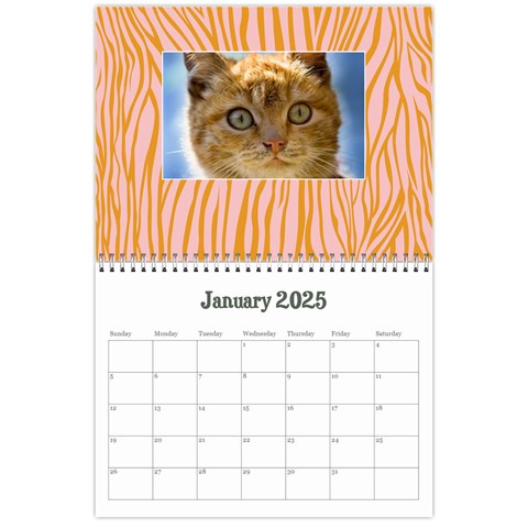 Zebra Glitter/teen/tween Jan 2025