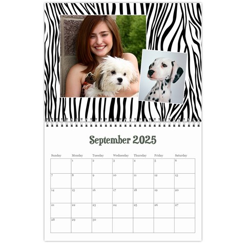 Zebra Glitter/teen/tween Sep 2025