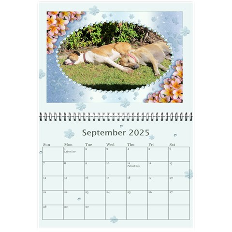 Framed With Flowers 2025 (any Year) Calendar 8 5x6 By Deborah Sep 2025