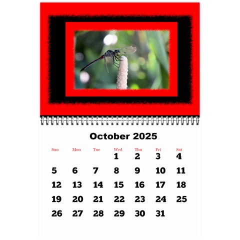 All Framed 2025 Large Numbers Calendar 8 5x6 By Deborah Oct 2025