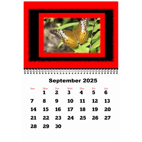 All Framed 2025 Large Numbers Calendar 8 5x6 By Deborah Sep 2025