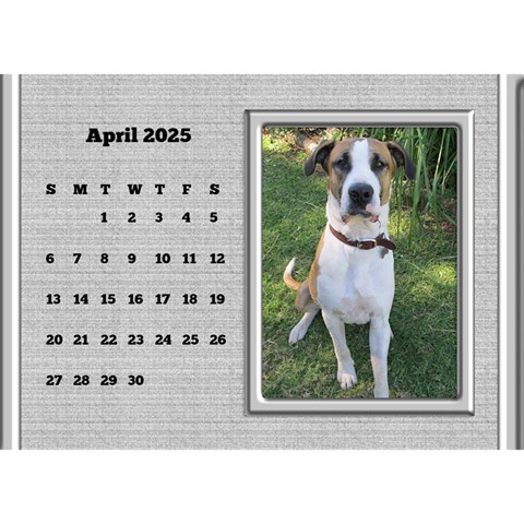 Framed In Silver 2025 Desk Calendar (8 5x6) By Deborah Apr 2025